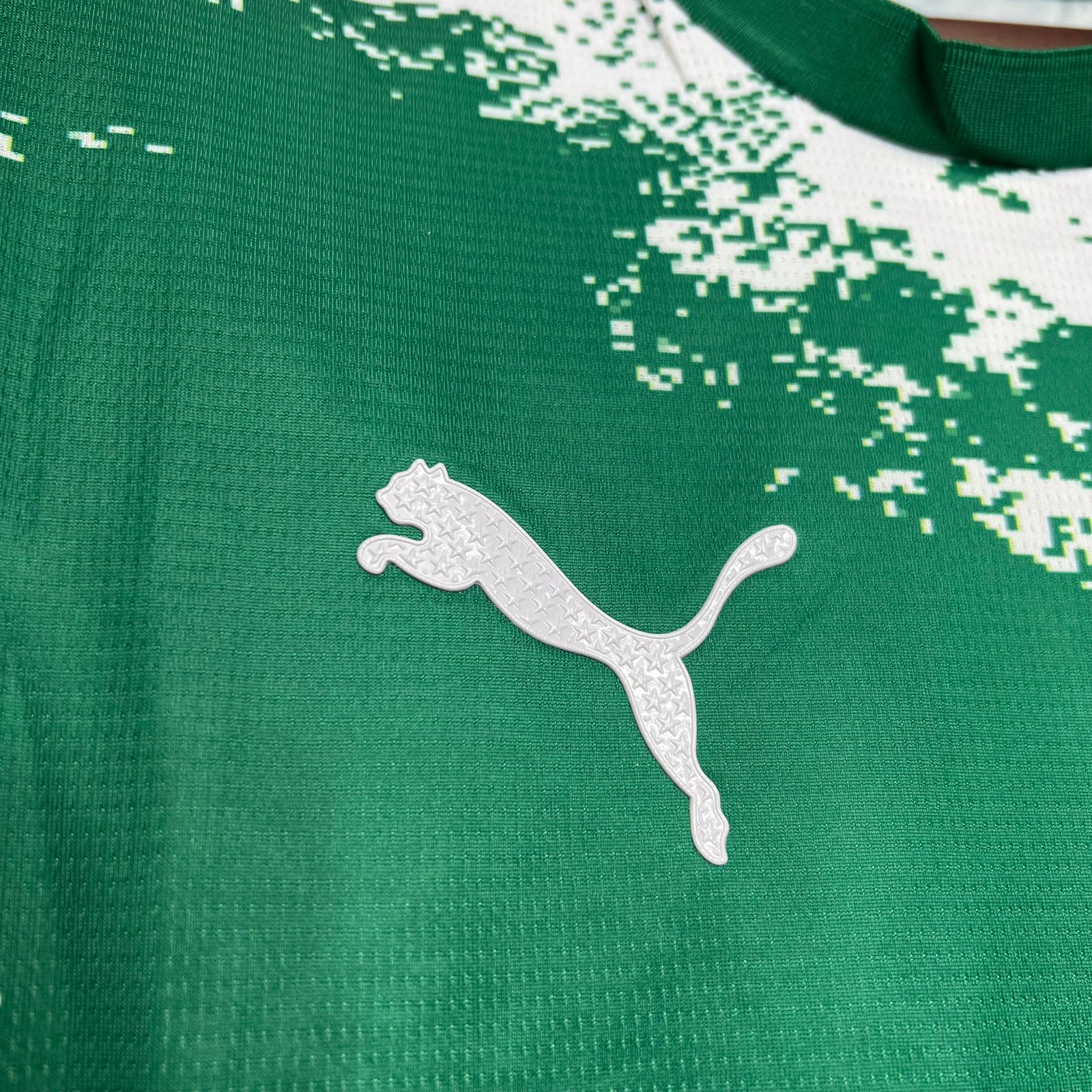 Camisa Palmeiras Edição Especial 2024/25 Puma Torcedor Masculina