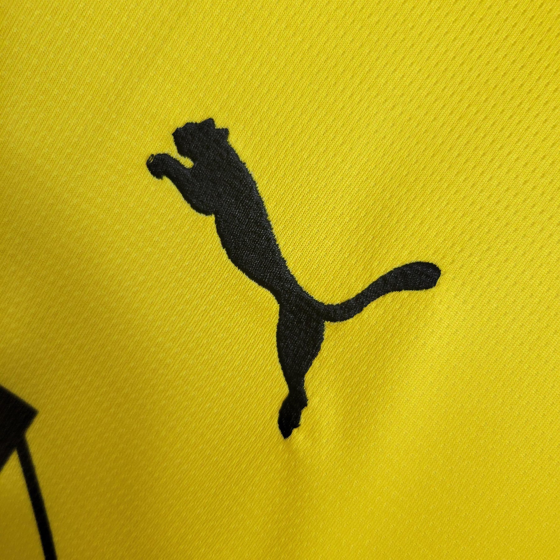 Camisa Borussia Dortmund Home  2023/24 Puma Torcedor Masculina