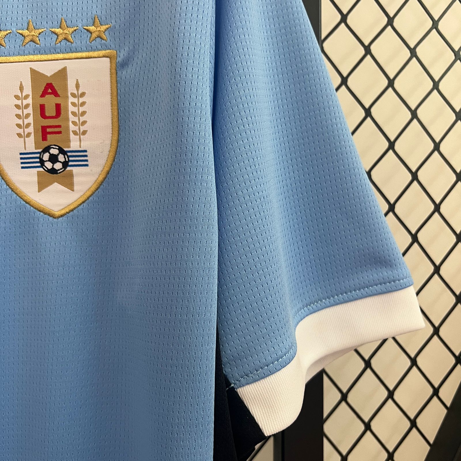 Camisa Uruguai Home 2024/25 Torcedor Masculina