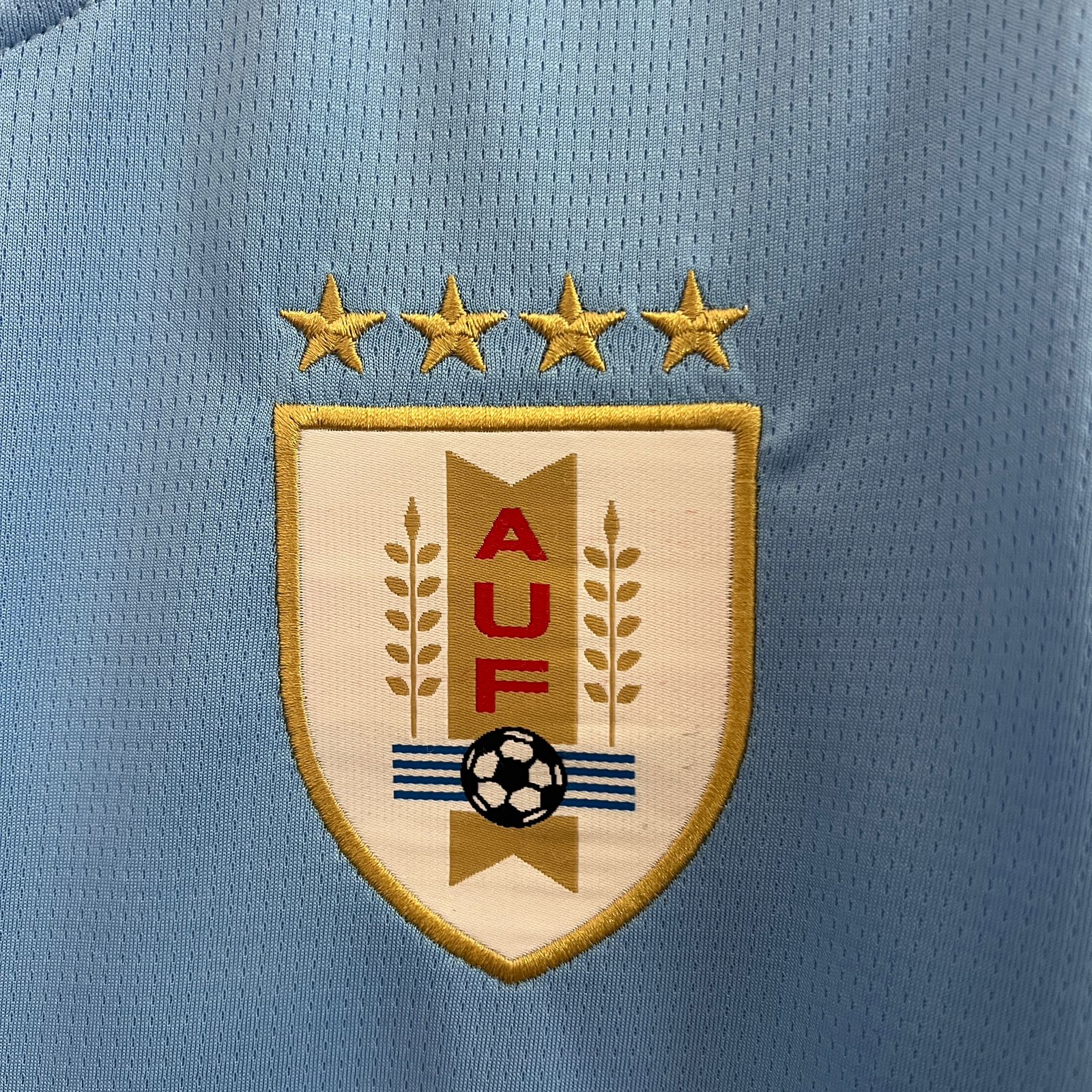 Camisa Uruguai Home 2024/25 Torcedor Masculina