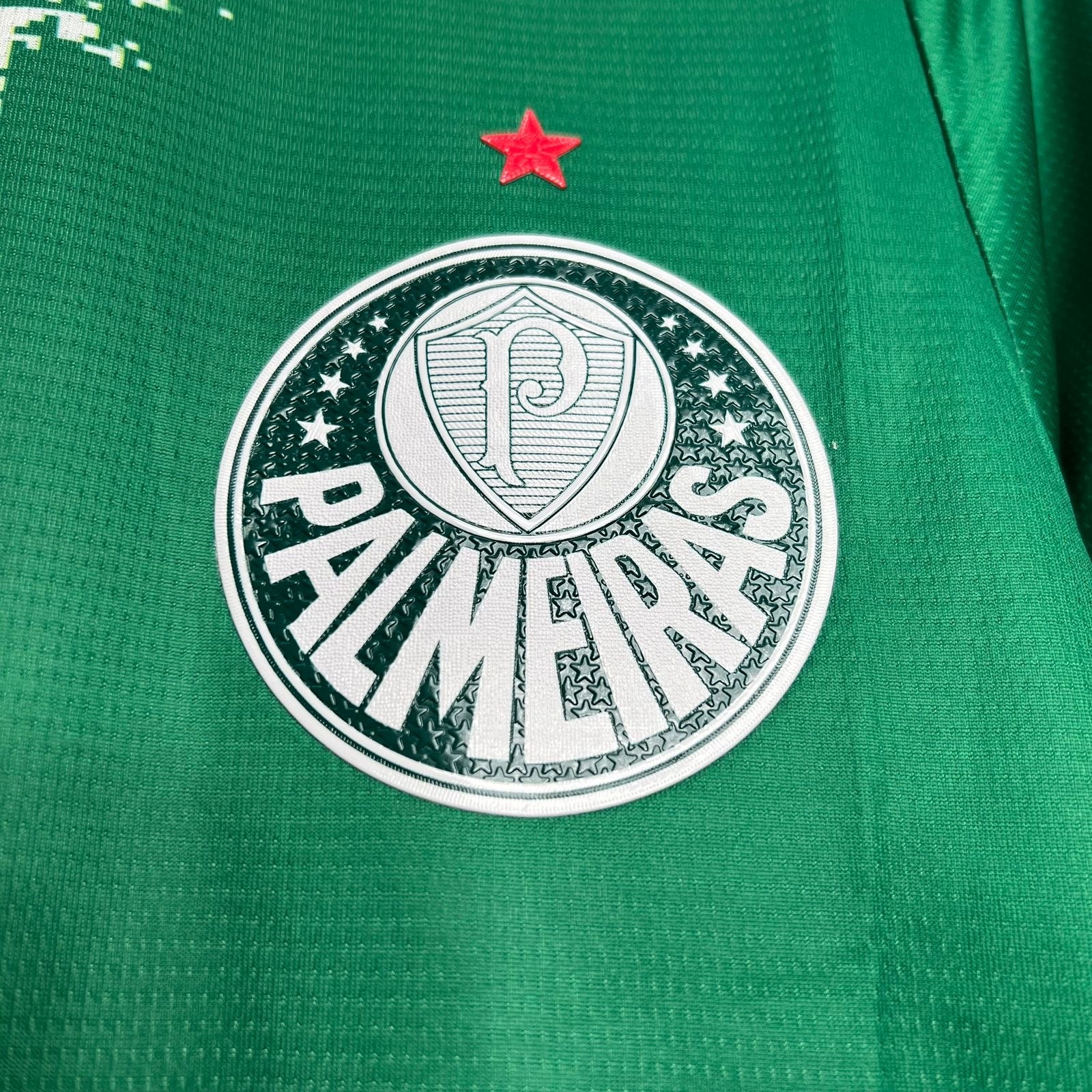 Camisa Palmeiras Edição Especial 2024/25 Puma Torcedor Masculina