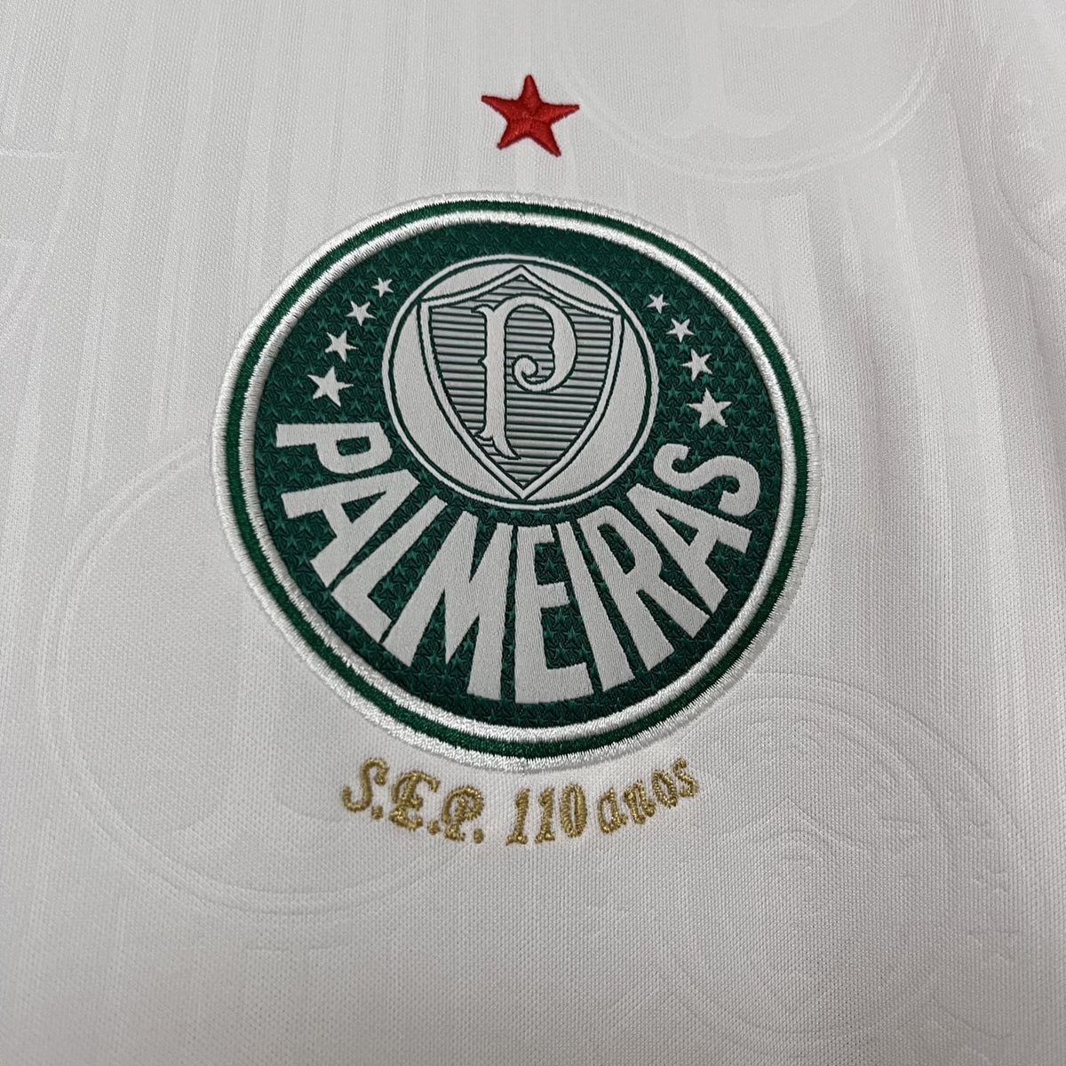 Camisa Palmeiras Away (2) 2024/25 Puma Torcedor Masculina Com Patrocínios