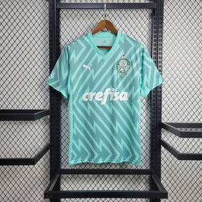 Camisa Palmeiras 2024/25 Torcedor Masculina