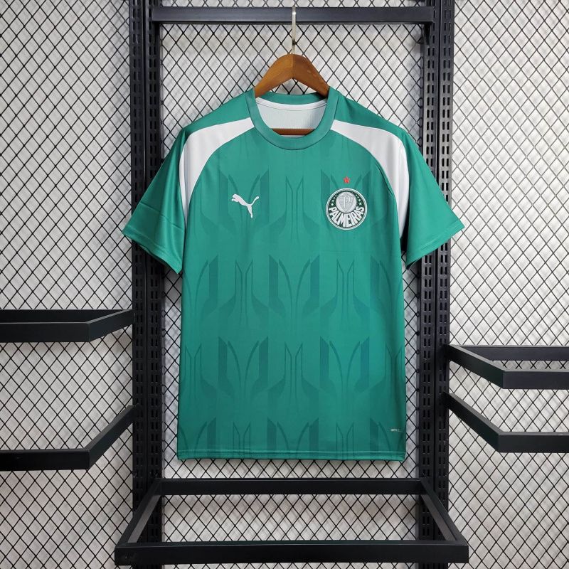 Camisa Palmeiras Treino 2024/25 Puma Torcedor Masculina