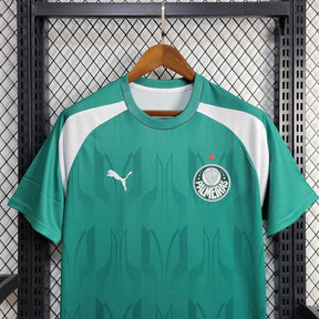 Camisa Palmeiras Treino 2024/25 Puma Torcedor Masculina