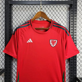 Camisa  Gales Home (1) 2024/25 Adidas Torcedor Masculina