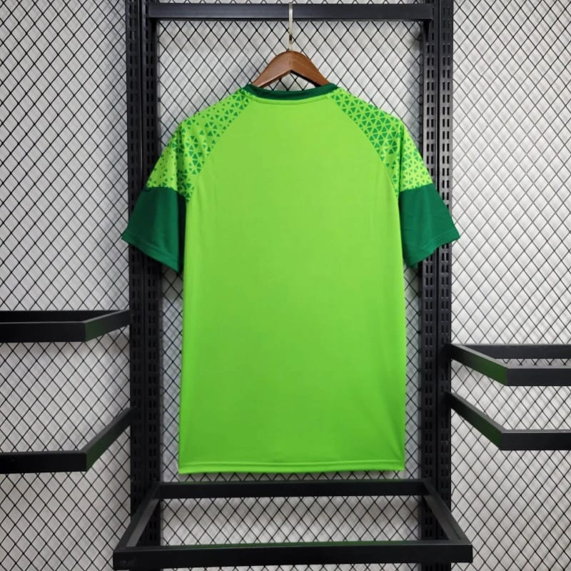 Camisa Palmeiras Treino 2024/25 Puma Torcedor Masculina