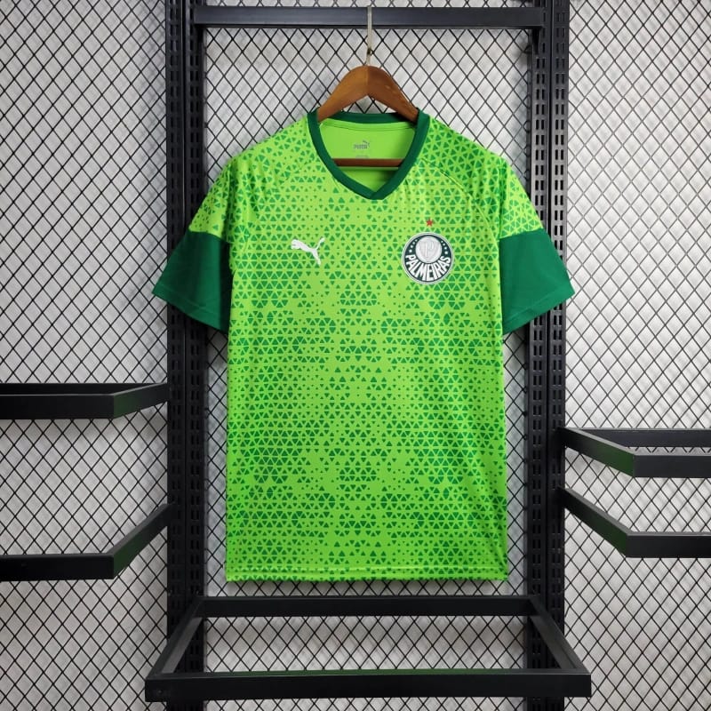 Camisa Palmeiras Treino 2024/25 Puma Torcedor Masculina