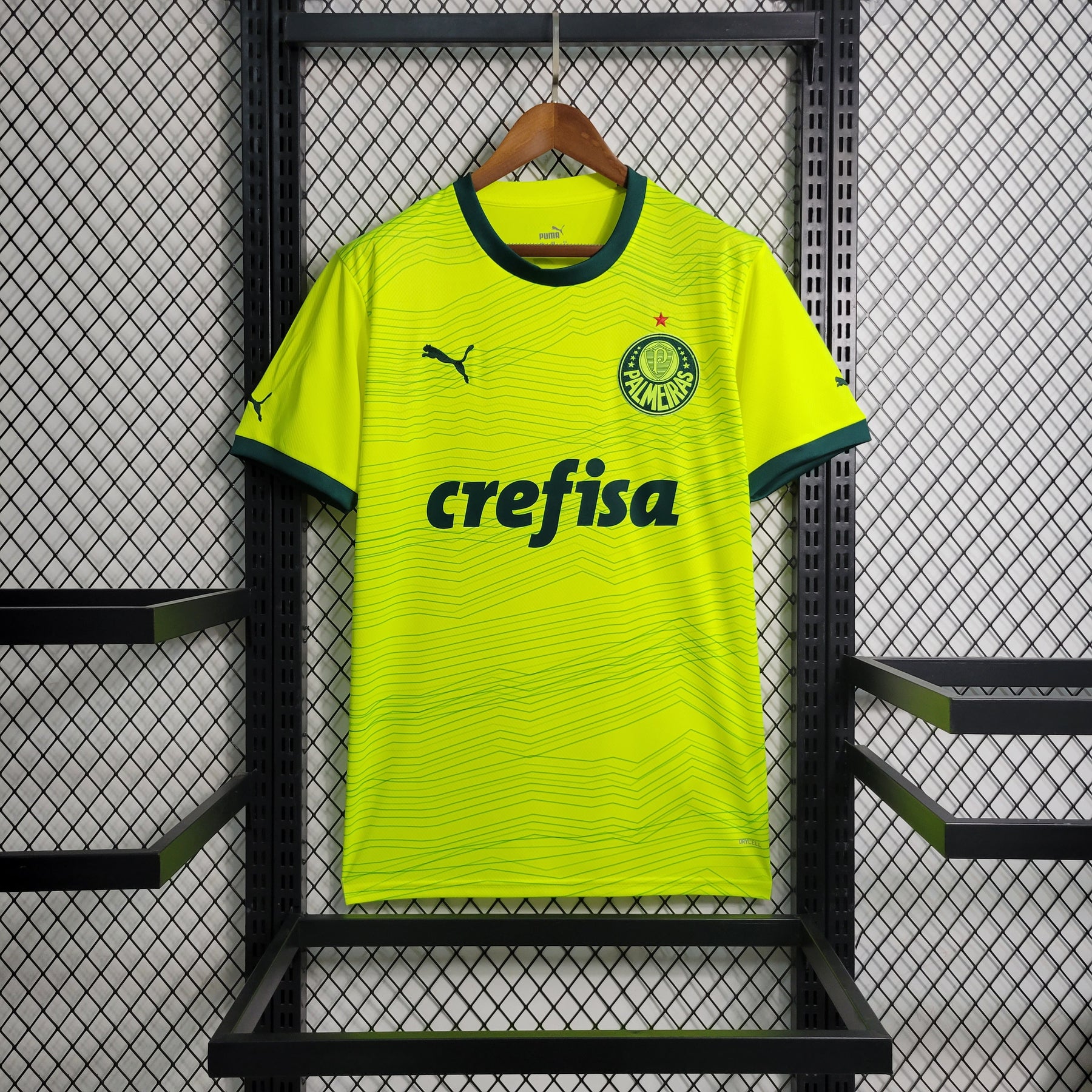 Camisa Palmeiras Third (3) 2023/24 Puma Torcedor Masculina