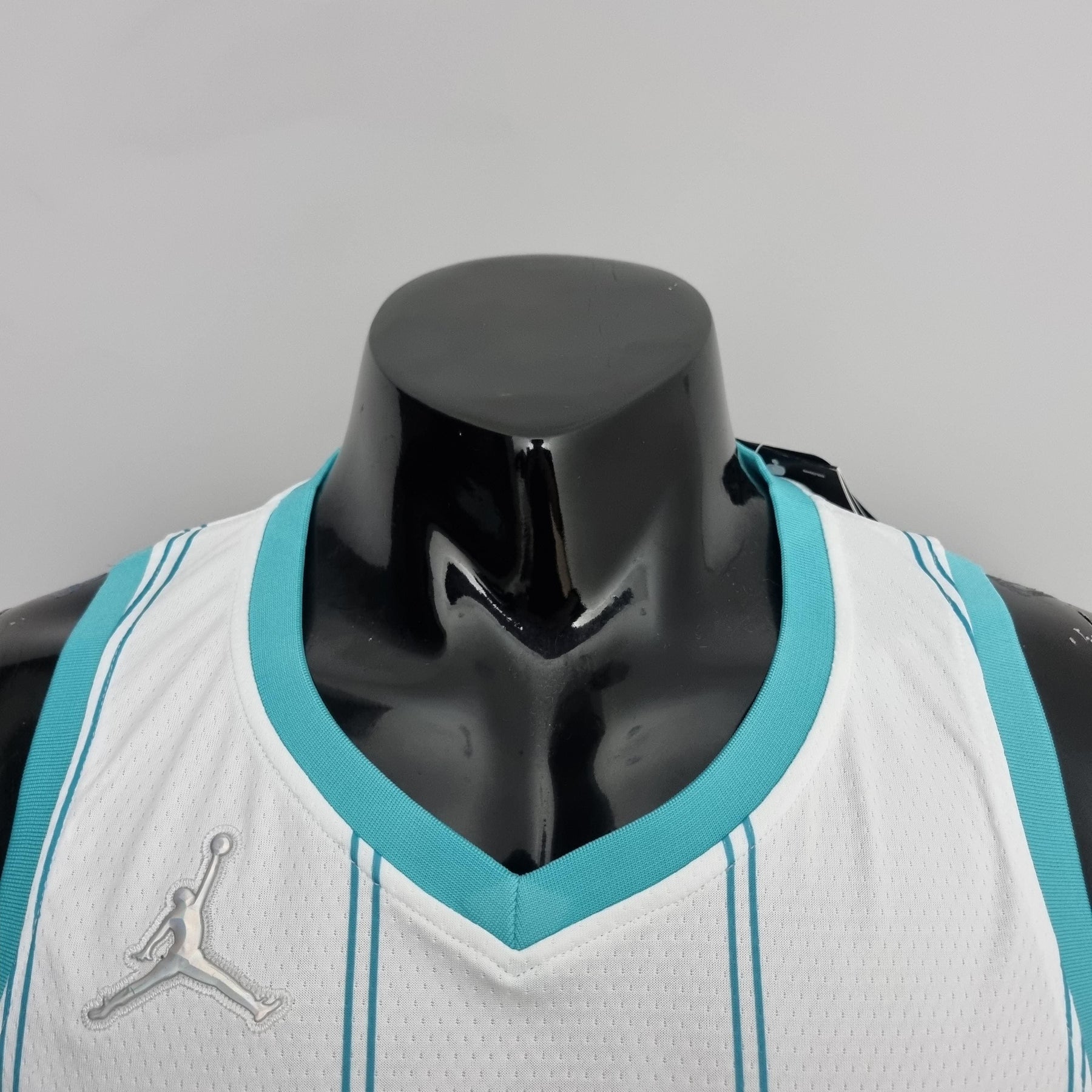 Regata Charlotte Hornets NBA 2022 Nike Association Edition Swingman Masculina