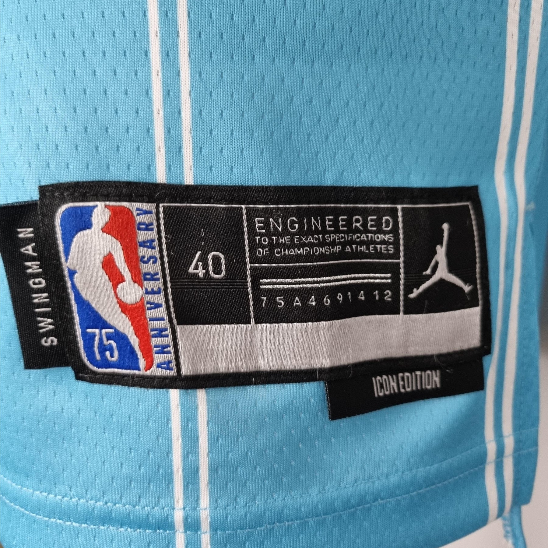 Regata Charlotte Hornets NBA 2022 Nike Icon Edition Swingman Masculina