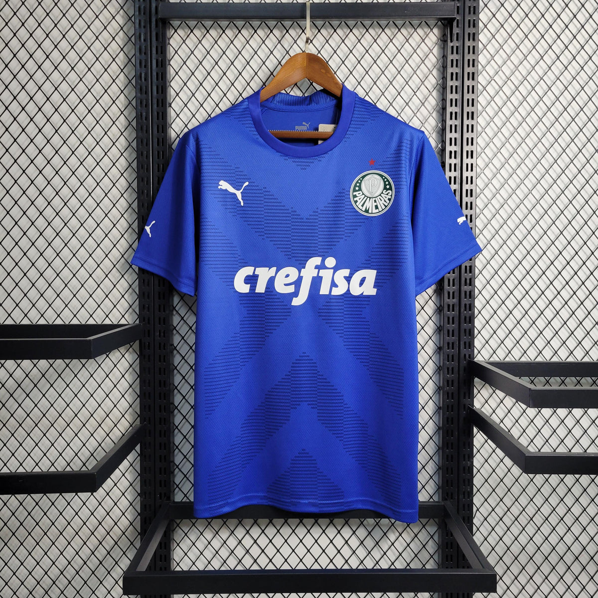 Camisa Palmeiras Goleiro 2024/25 Puma Torcedor Masculina