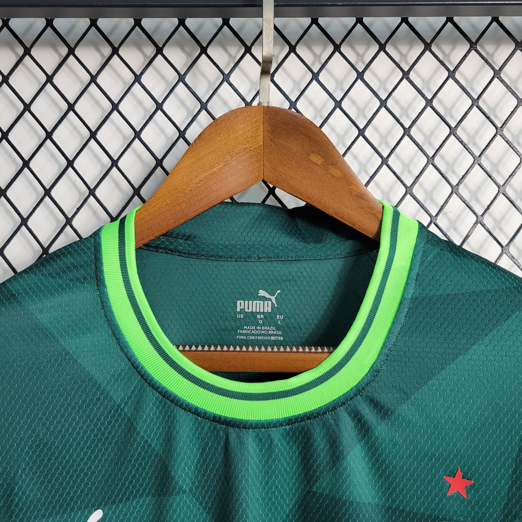 Camisa Palmeiras Home (1) 2023/24 Puma Torcedor Masculina