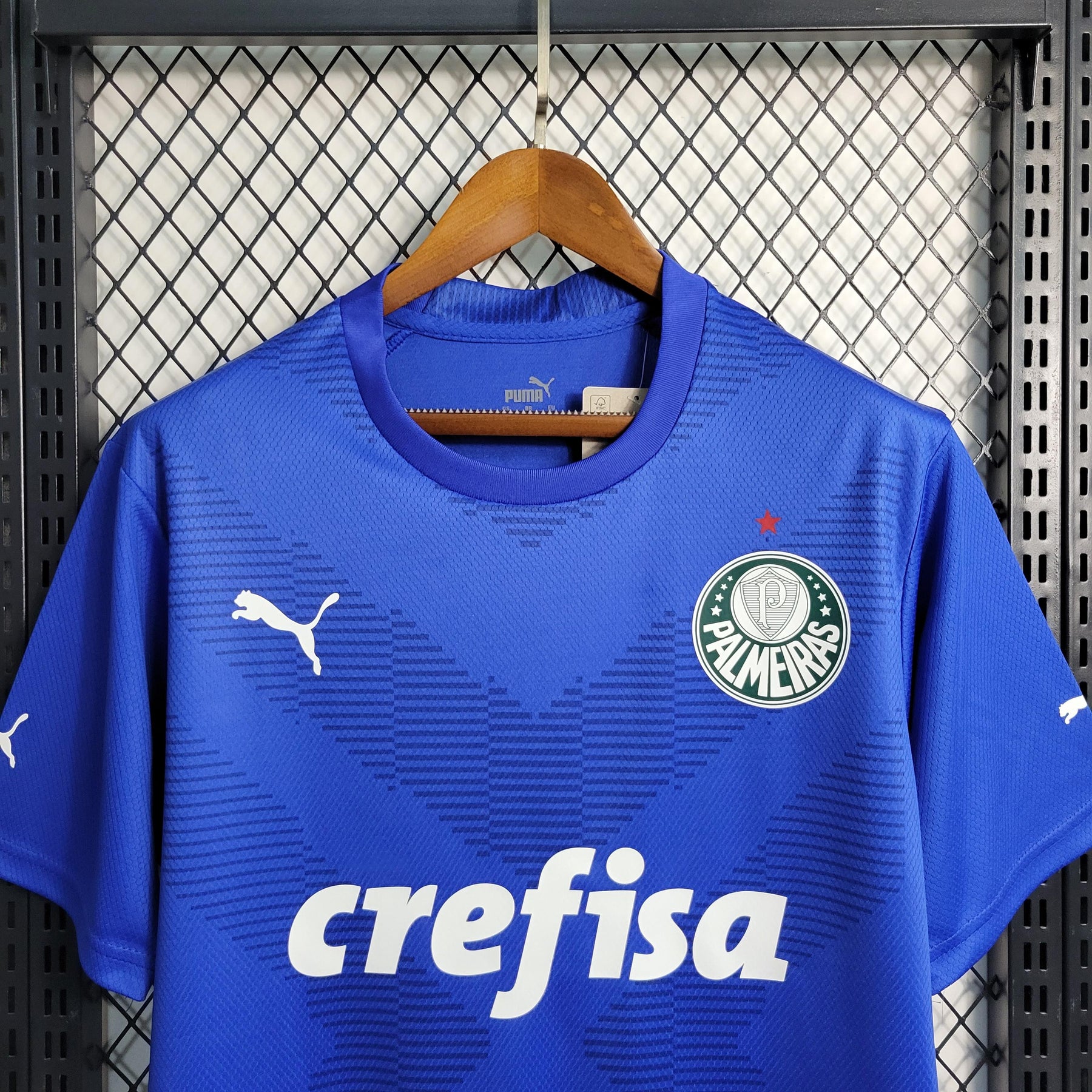 Camisa Palmeiras Goleiro 2024/25 Puma Torcedor Masculina