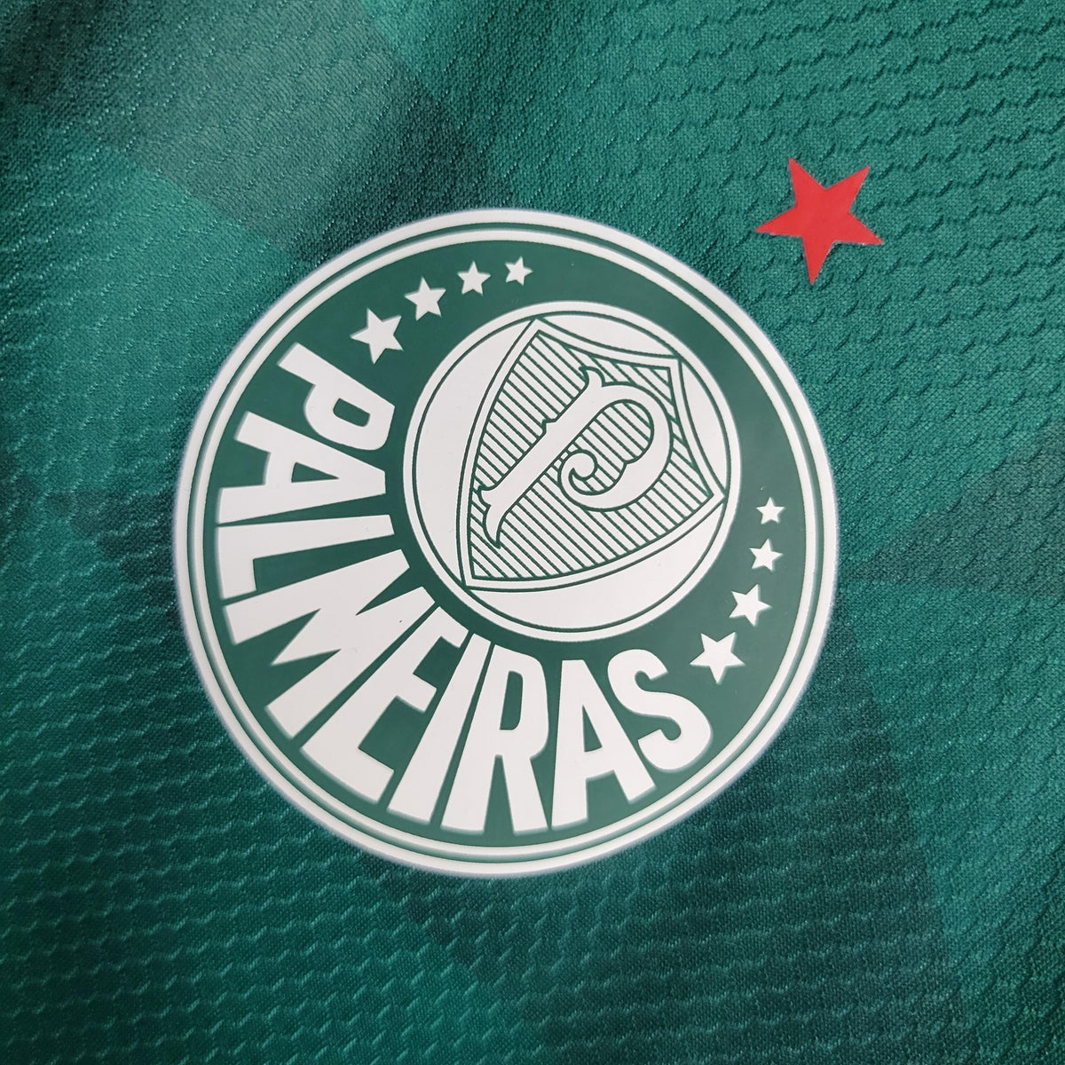 Camisa Palmeiras Home (1) 2023/24 Puma Feminina